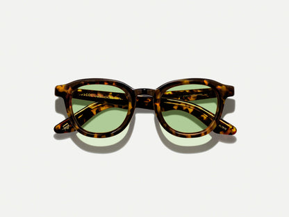 DAHVEN WITH GREEN+