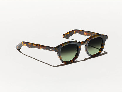 DAHVEN POLYCHROME TORTOISE