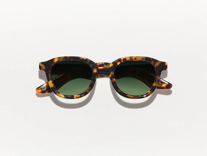 DAHVEN POLYCHROME TORTOISE