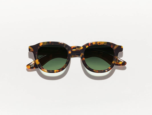 DAHVEN POLYCHROME TORTOISE