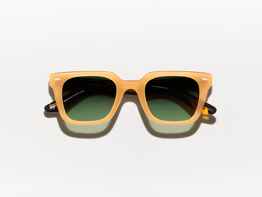 GROBER SUN