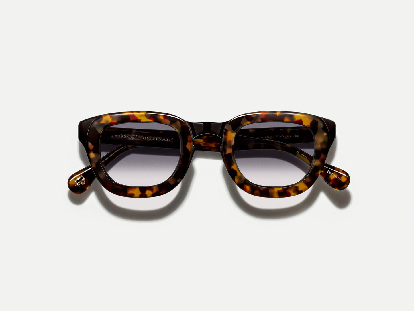 TELENA TORTOISE/BLACK WITH CUSTOM MADE TINTS™