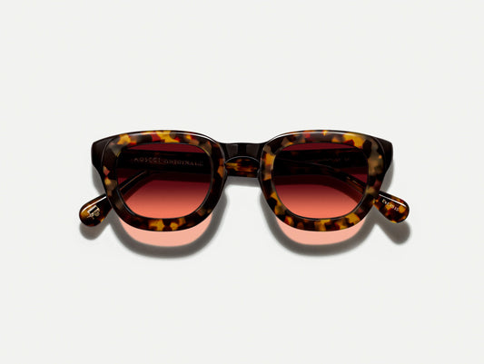 TELENA TORTOISE/BLACK WITH CUSTOM MADE TINTS™