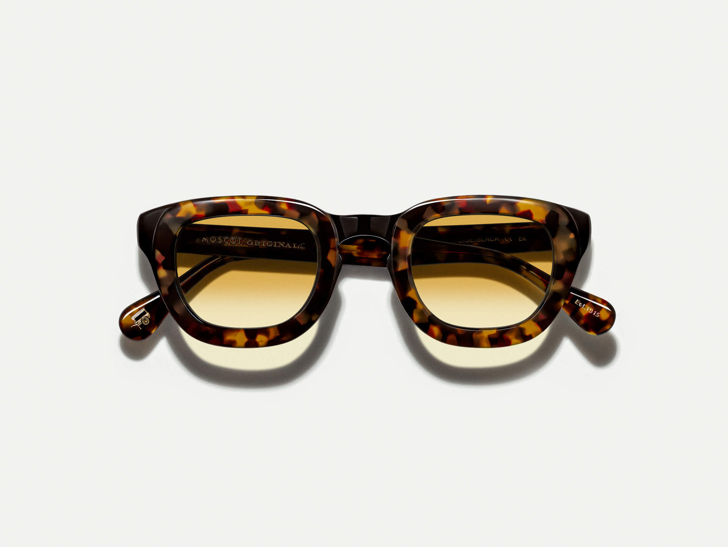 TELENA TORTOISE/BLACK WITH CUSTOM MADE TINTS™