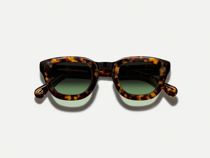 TELENA TORTOISE/BLACK WITH CUSTOM MADE TINTS™